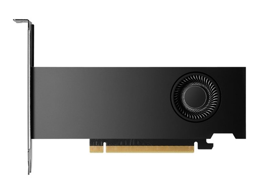 [8D6B8AA] HP NVIDIA RTX 2000 Ada - Grafikkarten - NVIDIA RTX 2000 Ada