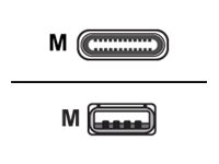 [CBL-MPV-USB1-05] Zebra USB-Kabel - USB (M) zu 24 pin USB-C (M)